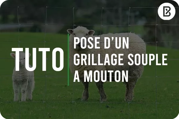 Tutoriel d'installation d'un grillage souple à mouton