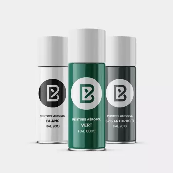 Illustration du produit Bombe de peinture