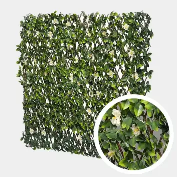 Illustration du produit Treillis Extensible Jasmin Fleuri