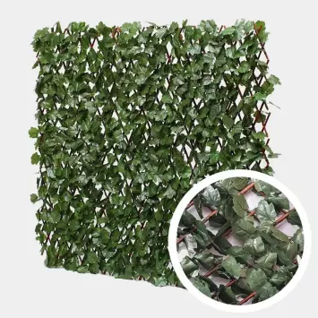 Illustration du produit Treillis Extensible Lierre