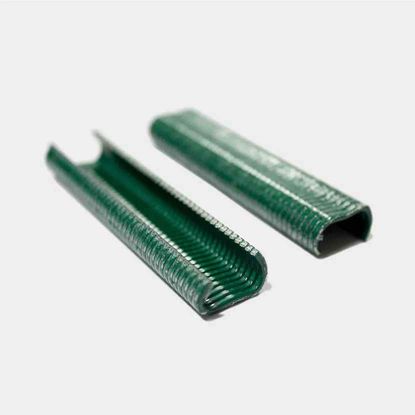 Accessoires grillage souple: Agrafes vert