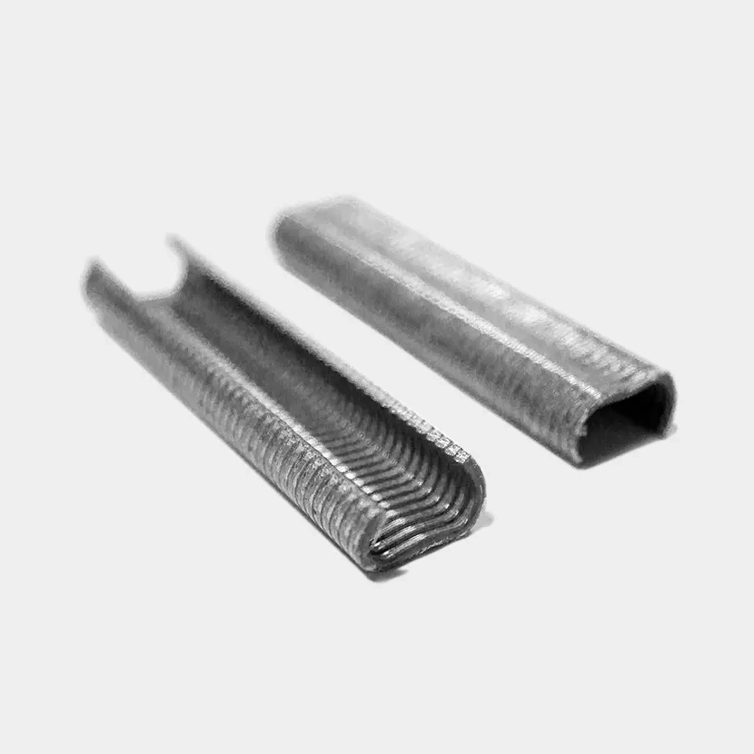 Accessoires grillage souple: Agrafes galva