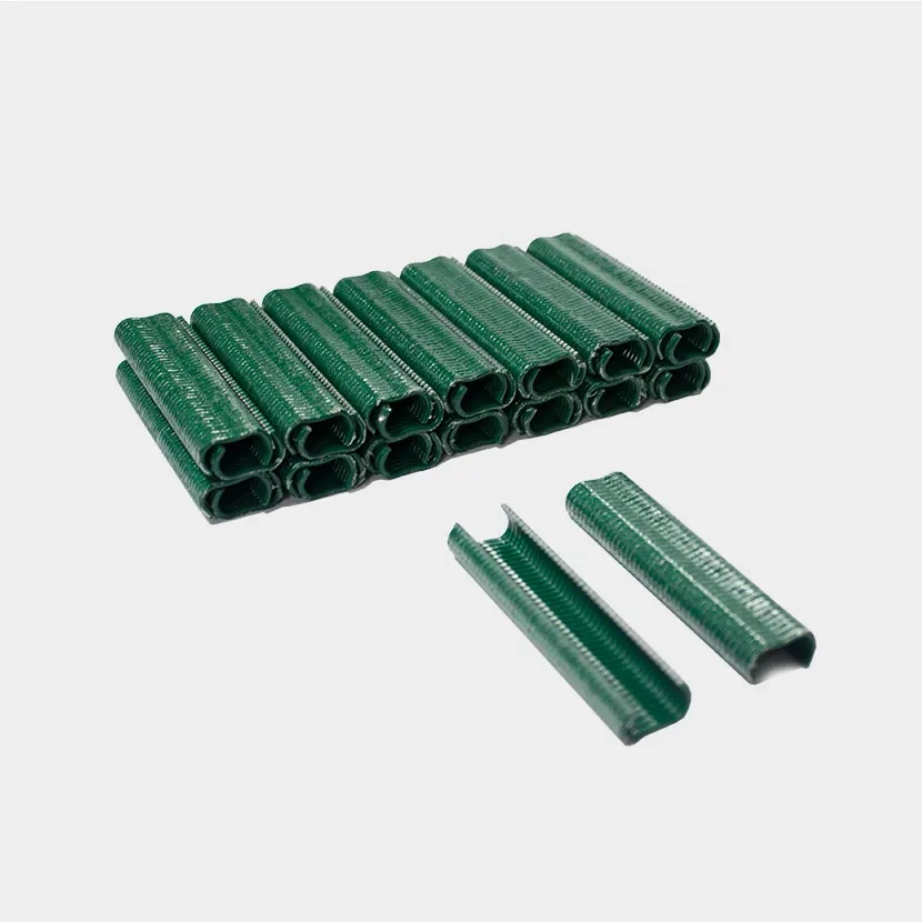 Accessoires grillage souple: Agrafes