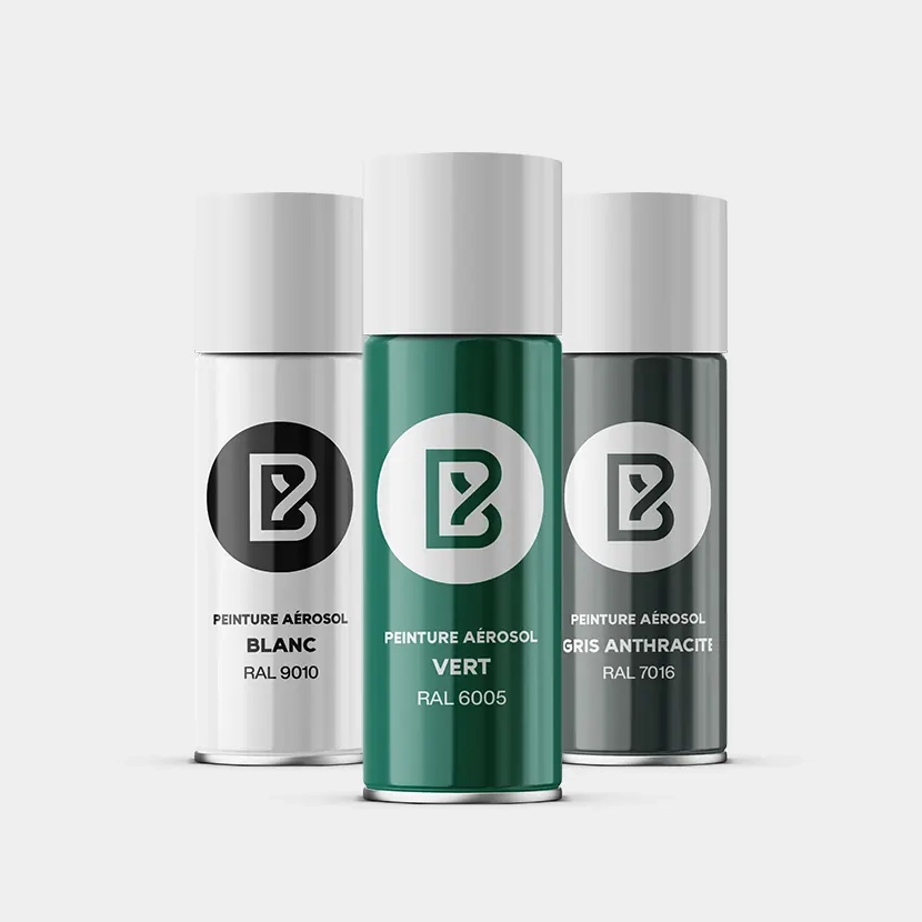 Accessoires grillage rigide: Bombe de peinture