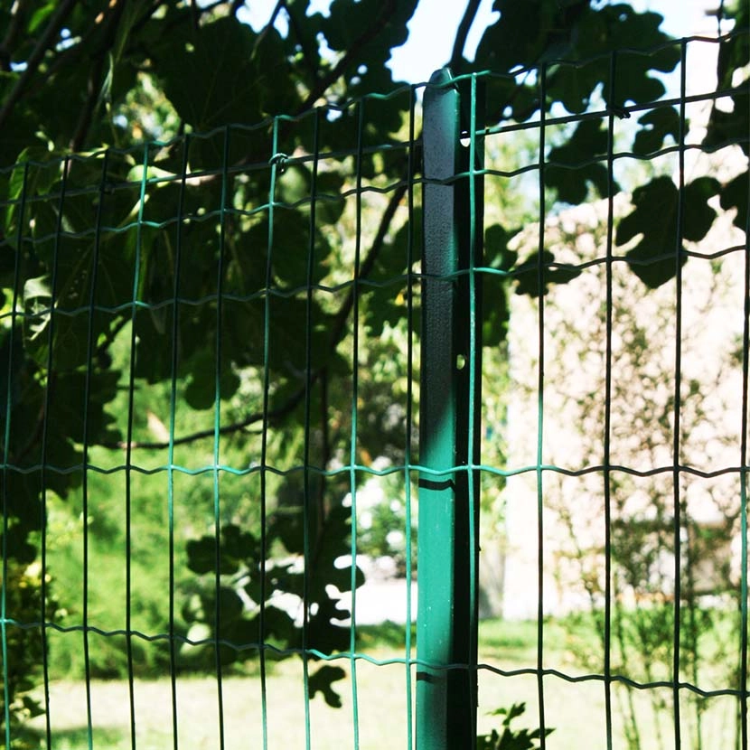 Rouleau grillage souple: zoom photo grillages soudes Vert maille 100x75 25m photo