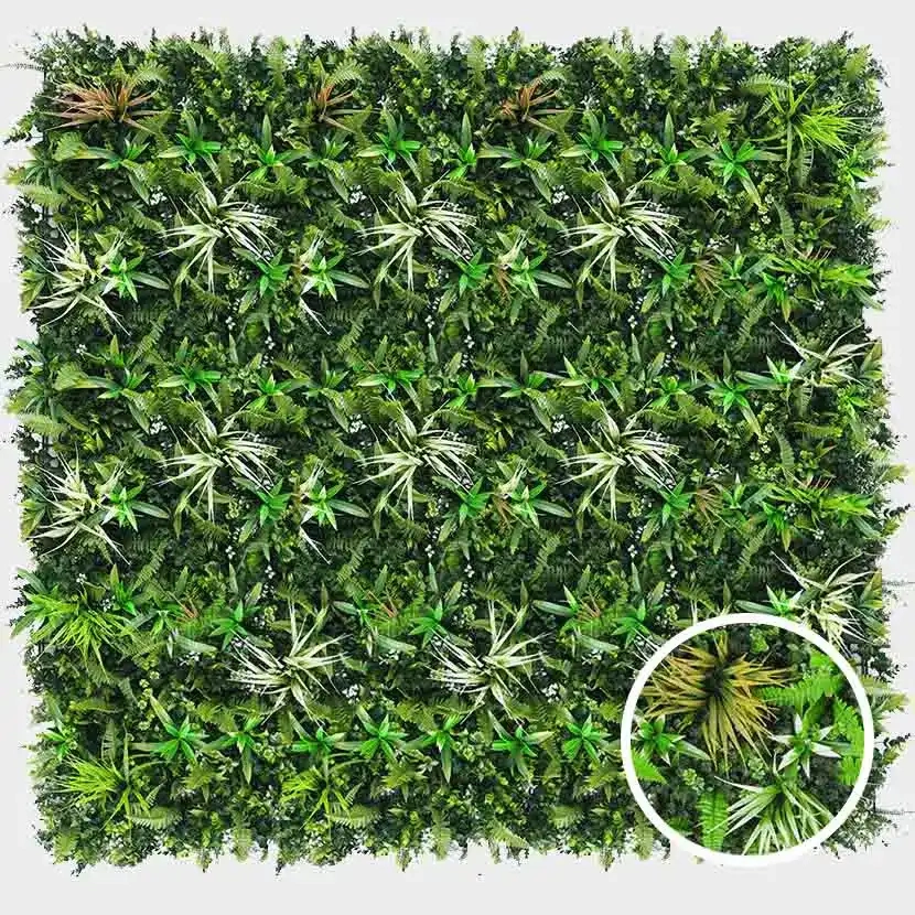 Brise vue: Mur vegetal