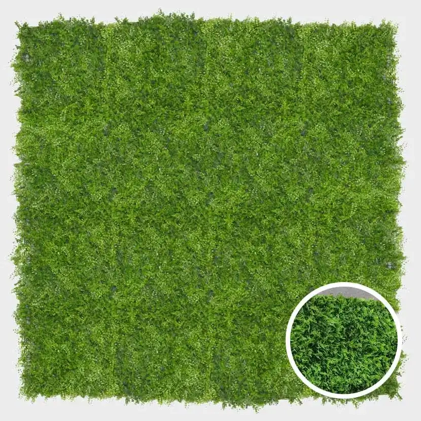 Brise vue: Mur vegetal Fougere