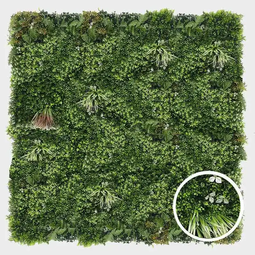 Brise vue: Mur vegetal