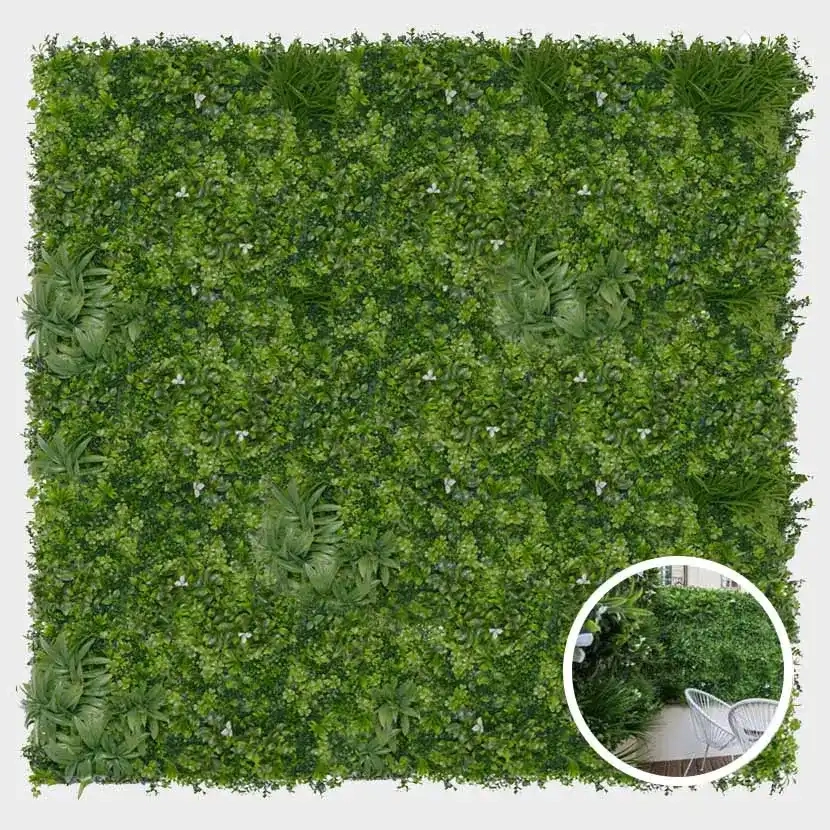 Brise-vue mur végétal Liseron