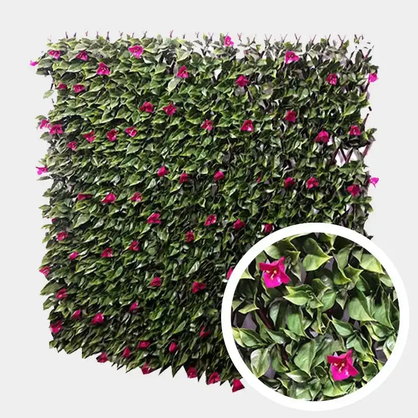 Brise vue: Treillis Extensible Bougainvillier