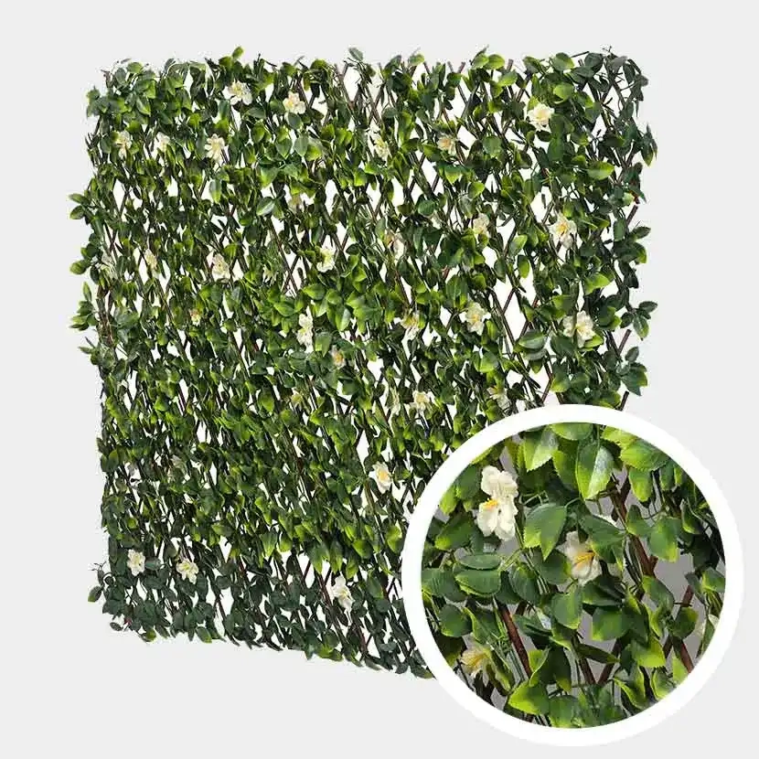 Brise vue: Treillis Extensible Jasmin Fleuri