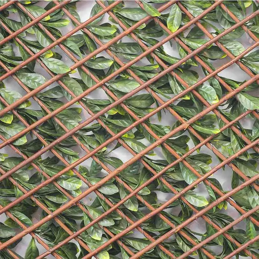 Brise vue: Treillis Extensible Laurier Cerise ouvert