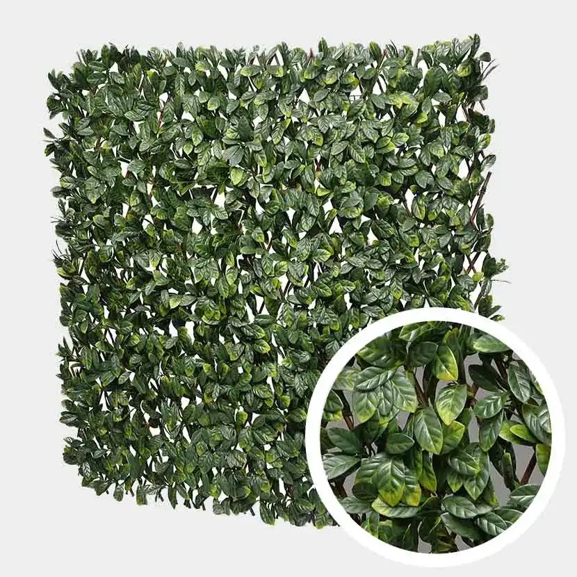 Brise vue: Treillis Extensible Laurier Cerise