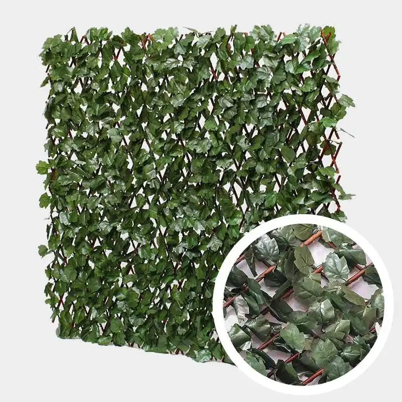 Brise vue: Treillis Extensible Lierre