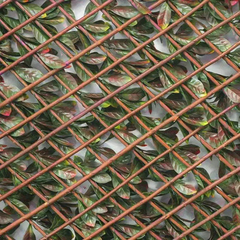 Brise vue: Treillis Extensible Photinia ouvert