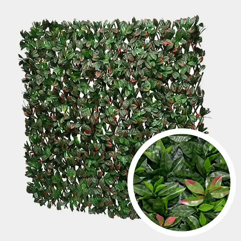 Brise vue: Treillis Extensible Photinia