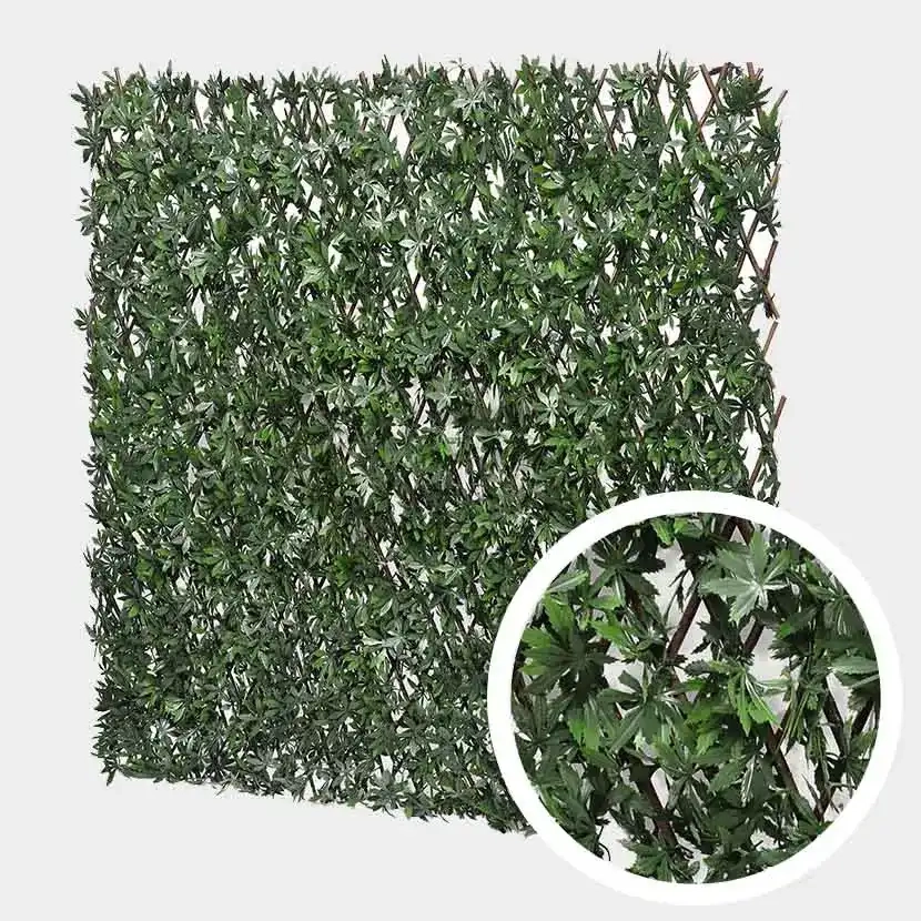 Brise vue: Treillis Extensible Vigne Vierge