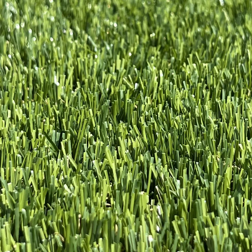Gazon synthétique : Exagrass 25mm