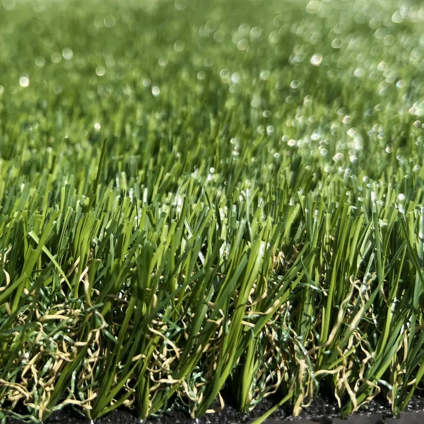 Gazon synthétique : Exagrass 25mm