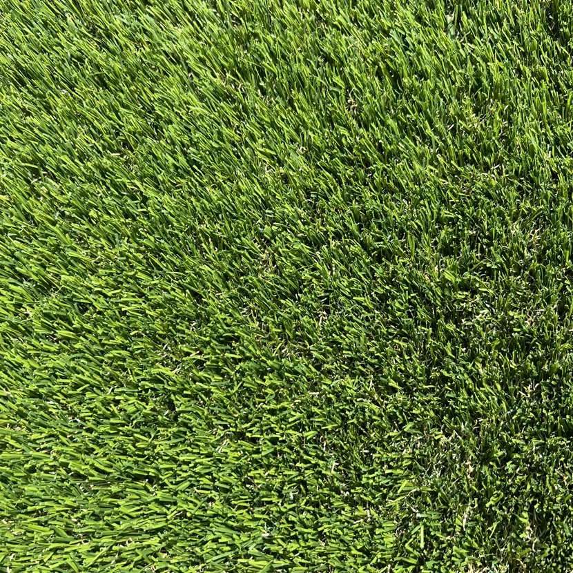 Gazon synthétique : Exagrass 25mm