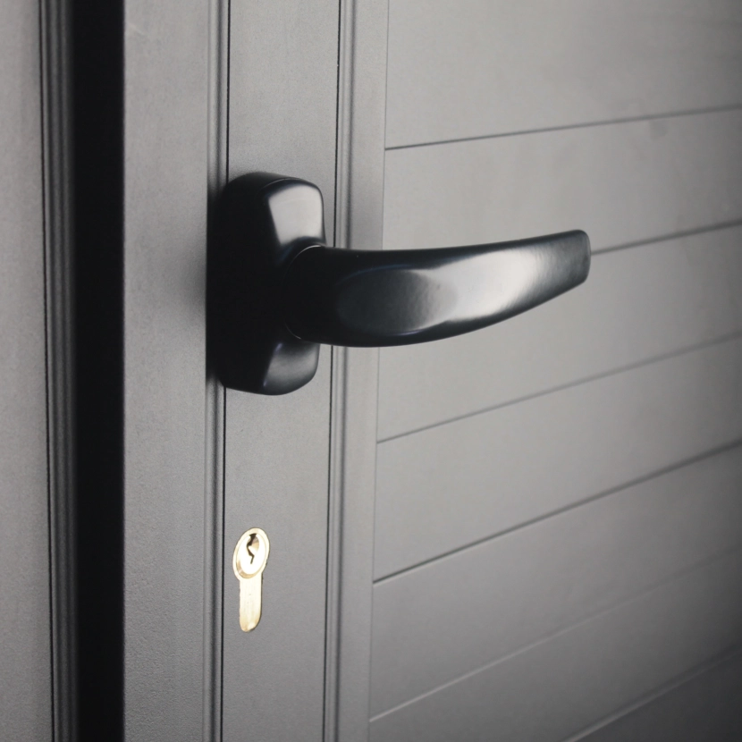 Zoom poignée portail jerez