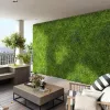 Brise vue: Mur vegetal Fougere