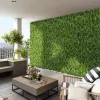 Brise vue: Mur vegetal Liane
