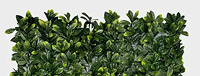 Mur végétal artificiel