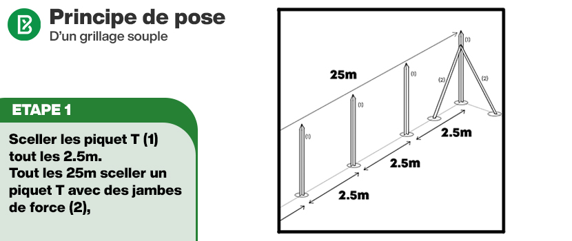 Grillage souple : Tous les combien de mètres installer une jambe de force ?